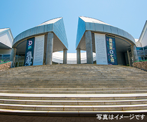 平野・久宝寺の森　セレモニートーリン 平野　久宝の森セレモニートーリンの画像